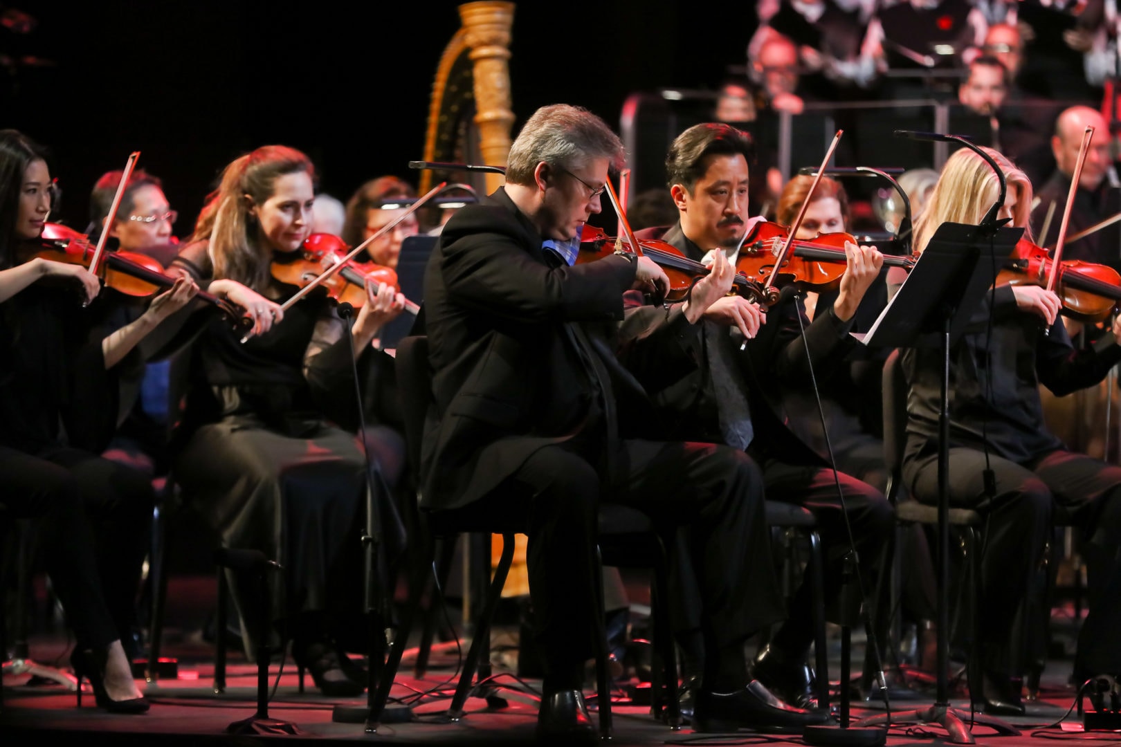 <h3>The strings section of the Free Spirit Symphony Orchestra.</h3>
